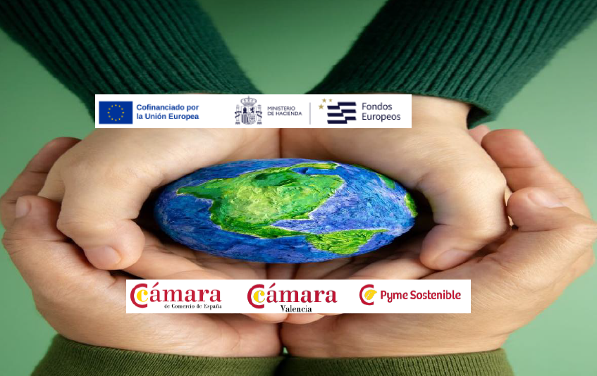 Programa Pyme Sostenible